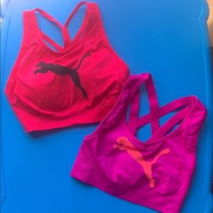 Puma sports bras